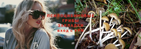 герыч Лиски