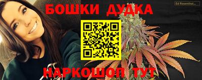 PSILOCYBIN Камышлов