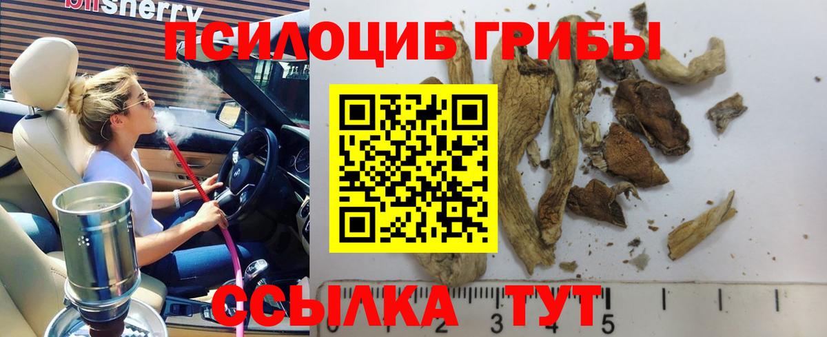 Галлюциногенные грибы Magic Shrooms  Мытищи 
