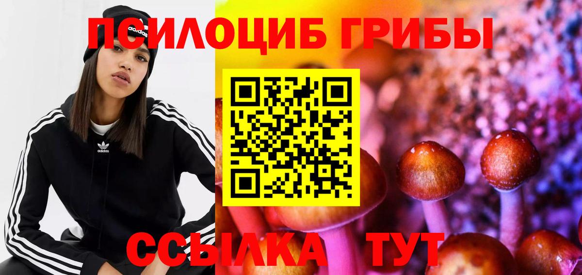 купить  цена  Вход с VPN  Мытищи  Псилоцибиновые грибы ЛСД 