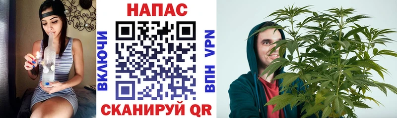 Канабис MAZAR  где купить наркоту  Мытищи 